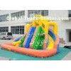Residential Backyard Inflatable Water Slide Curved Brazil , Party Inflatable Rentals