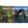 Stereoscopic Dynamics HD 4D Cinema Film, XD Movie For Theme Park Theater