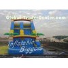 Outdoor Forest Winflatable Water Slide Promotion For Kids Birthday Party