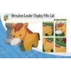 Free Standing Cardboard Display Stands With Horse Graphic
