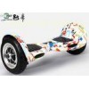 Portable Outdoor Sport 1000w Electric Standing Up Scooter in Street Fashion