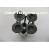 Standard 24101027 Automobile Engine Spare Parts , Intake Car Engine Valves