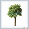 architectural green plastic 40mm model tree CT001-40