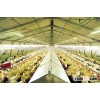 preassembly broiler poultry farm house design made in china