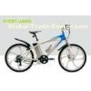 36V 250W Electric Mountain Bikes MTB Style 26 Inch Aluminum Frame
