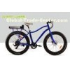 Blue Beach Cruiser Electric Bike Fat Tire 48V 750W Shimano 6 Speed Snow Road
