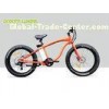 High Powered 48V 26 Inch Electric Beach Bike 750W Orange Aluminum Alloy 6061