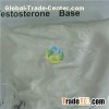Testosterone Base