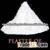 Plaster of Paris (Gypsum Plaster)