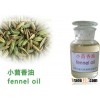 Natural fennel oil,Foeniculum vulgare oil,food additive oil,cooking oil,Flavouring agent,8006-84-6