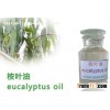 Eucalyptus Oil,Eucalyptus essential oil