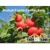 Dry pressed rosehip oil,Rose hip oil
