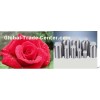 Pure Natural Rose water,Rose Hydrolat,Rose hydrosol,Rosa damascena