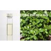 Cajeput oil,Cajeput essential oil,Cajuput oil,Cajuput essential oil oil