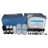 Gentamicin ELISA Diagnostic Kit