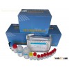 Streptomycin ELISA Diagnostic Kit