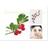 Natural CAS No.84380-01-8 Alpha Arbutin Skin Lightening White Fine Powder