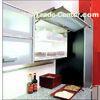 Cabinet Gas Strut,gas spring for cabinet