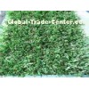 Evergreen11600Dtex Outdoor Artificial Grass for Landscape, 20 mm Synthetic Turf Gauge 3/8