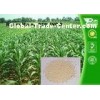 Rimsulfuron 25% WDG Selective Weed Killer For Lawns / Selective Herbicide For Maize