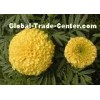 Orange or Red Marigold Chinese Herbal Extract Powder for Food Colorant