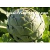 Artichoke Chinese Herbal Extract