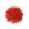 Anti-aging / Anti-convulsant Nonivamide Chinese Herbal Extract with White Powder