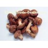 Pure Chinese Herbal Extract / Shiitake Mushroom Extract with 20% Polysaccharide