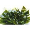 Dark Green Dry Kelp Seaweed Rich In Vitamins And Minerals / Sea Tangle Strip