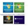 Professional Micrsoft Windows 7 Product Key Codes Activated And Verified Online
