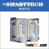 Plastic Professional Water Bottle Mould/Mold Manufacturer in China