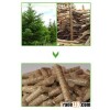 discount Pinus Sylvestris Pellet Machine China hot sell
