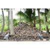 Pellet Machine for Coconut Shell