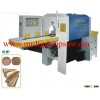 vertical log multiple rip saw