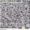 Flamed Granite