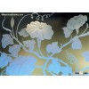 Acid Etched glass