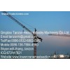 QTZ250 12 tons 183m Hammer Head Tower Crane For Construction / Bridges