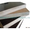 Cabinet Plywood