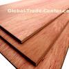 Commercial Plywood