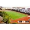 Outdoor Artificial Turf