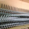 drywall screw Shenzhen