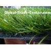 Thiolon PE Green Artificial Sports Pitch for Artificial Turf Football / Soccer , Balcony