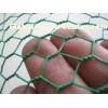 Vinyl Coated Hexagonal Wire Netting/PVC Hexagonal Wire Netting