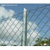 chain link mesh