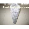 Galvanized Poultry Netting Fencing/Chicken Houses/Chicken Runs