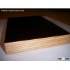 Film faced Plywood for Construction