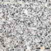 G640 Big Slabs and Granite Gangsaw slabs