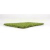 Fake Monofilament Outdoor Golf Artificial Grass Roll For Park / Patio 13mm Dtex6000