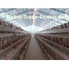 PVC Down Pipe Poultry Farm Structure With Grey paint Surface