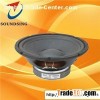 10" Karaoke Speaker
